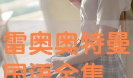 普通话在线观看,普通话在线观看的无限魅力